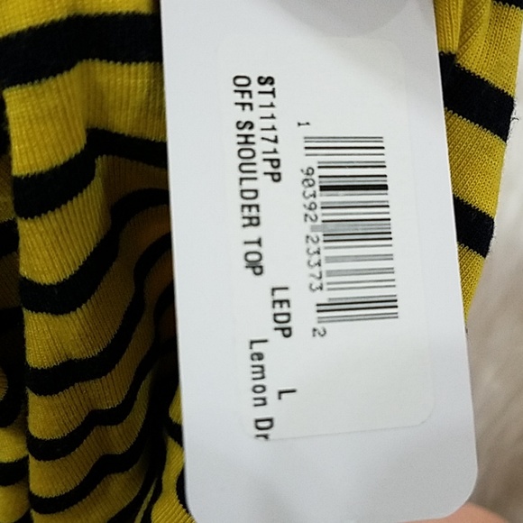 Splendid - Picture 5 of 6